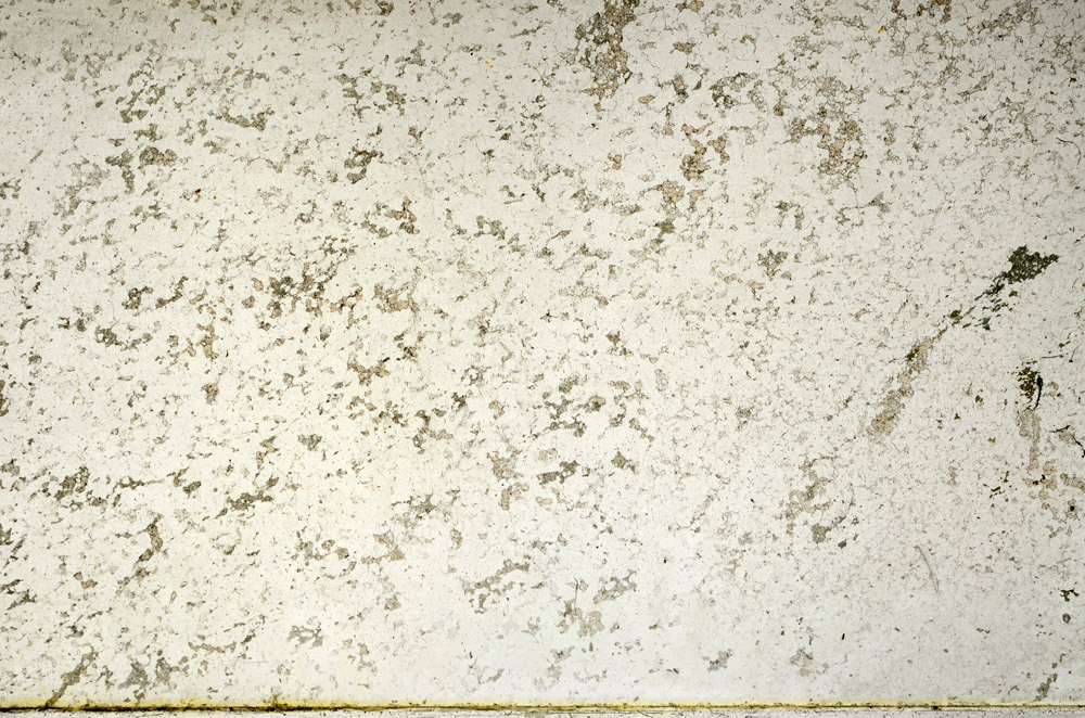 Plane Polarized, N3938