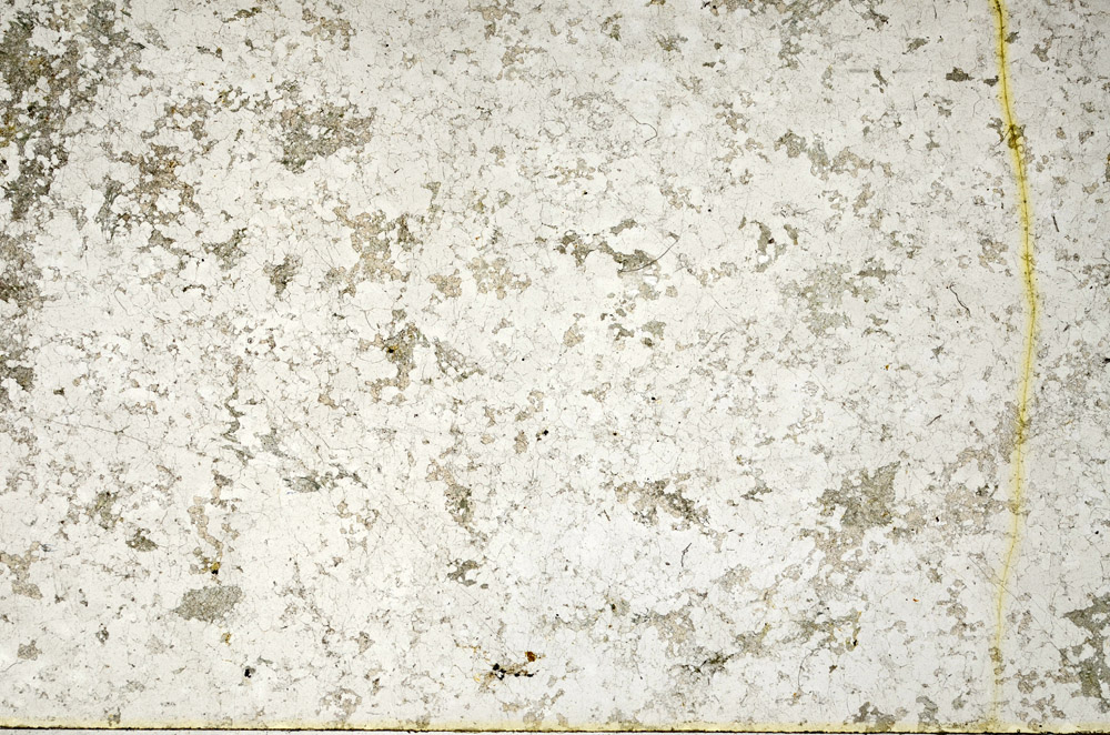 Plane Polarized, N3940