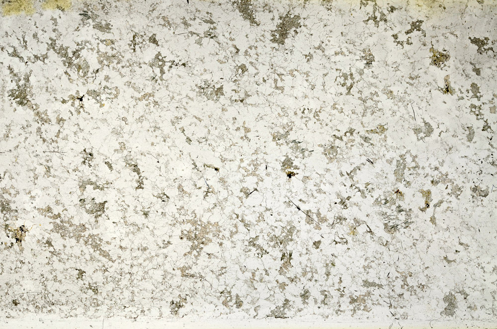 Plane Polarized, N3941