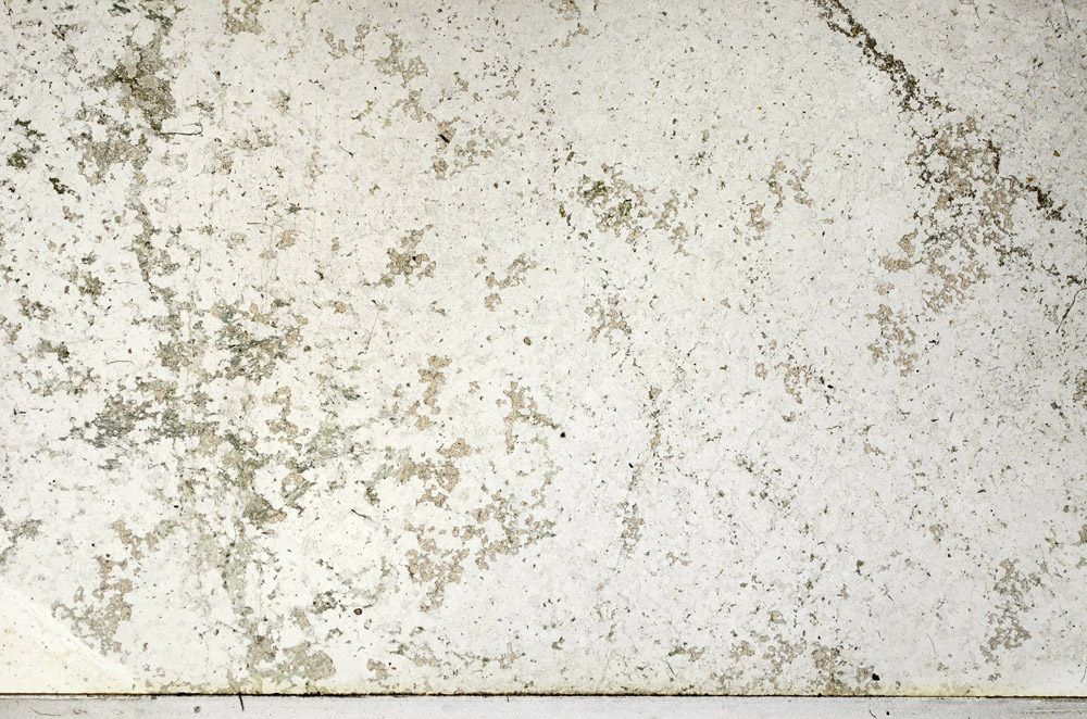 Plane Polarized, N3942