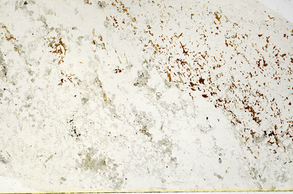 Plane Polarized, N3943