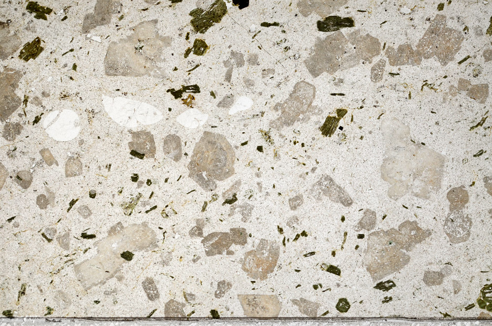 Plane Polarized, N4203