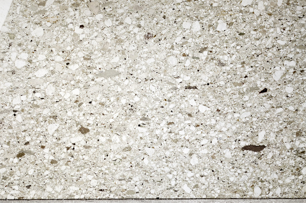 Plane Polarized, N4244