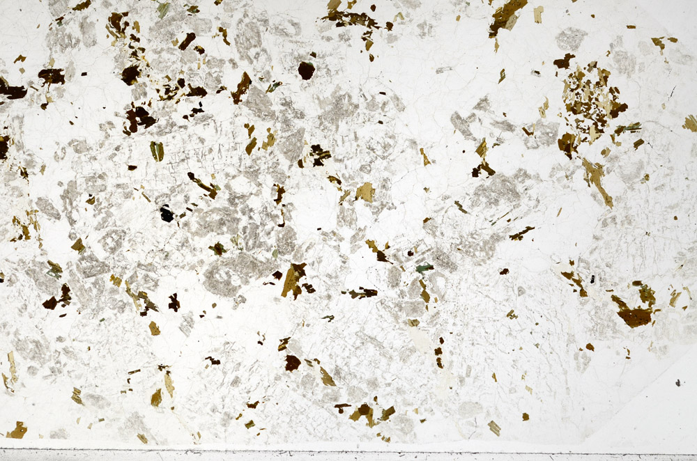 Plane Polarized, N4274