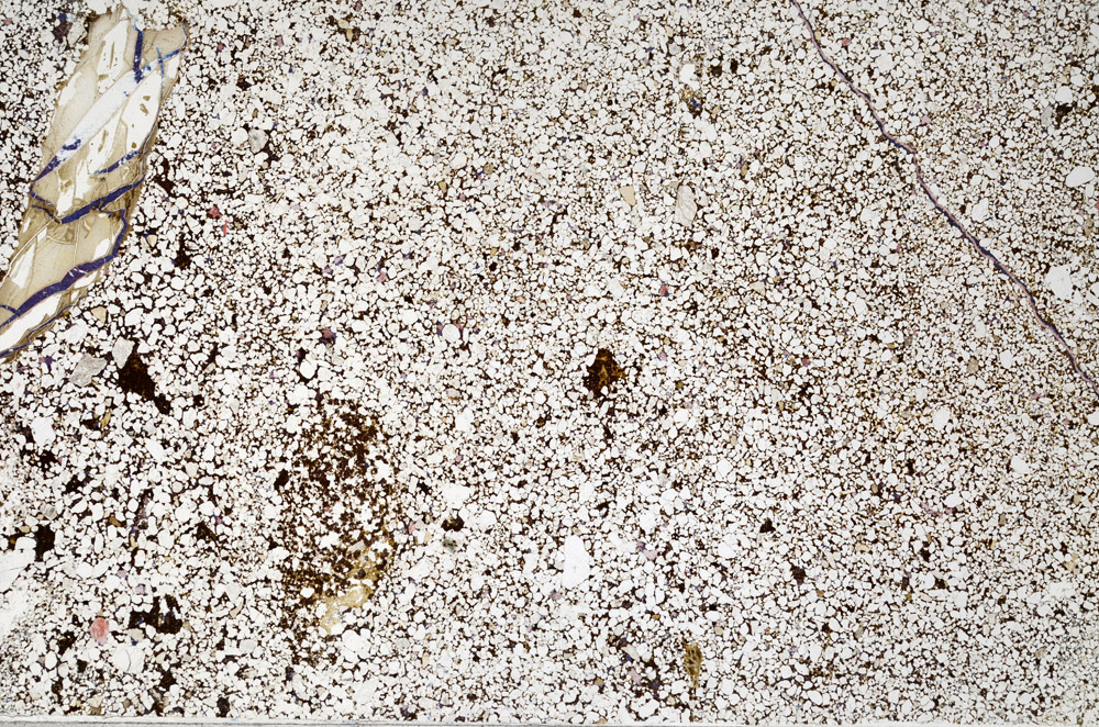 Plane Polarized, N4286
