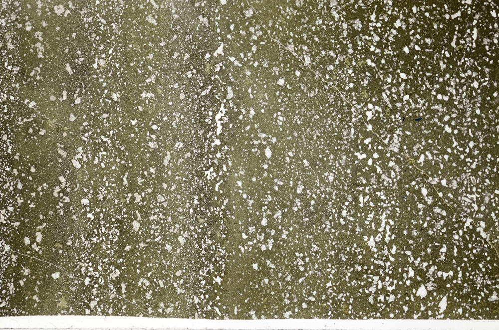 Plane Polarized, N4294