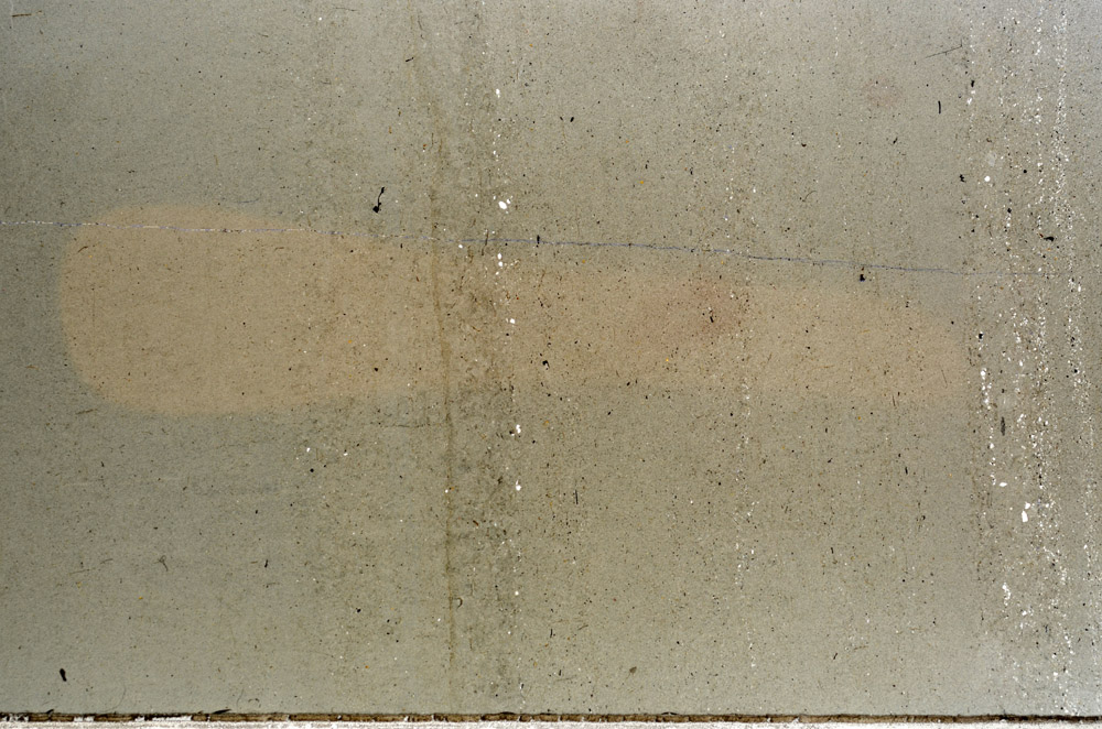 Plane Polarized, N4303