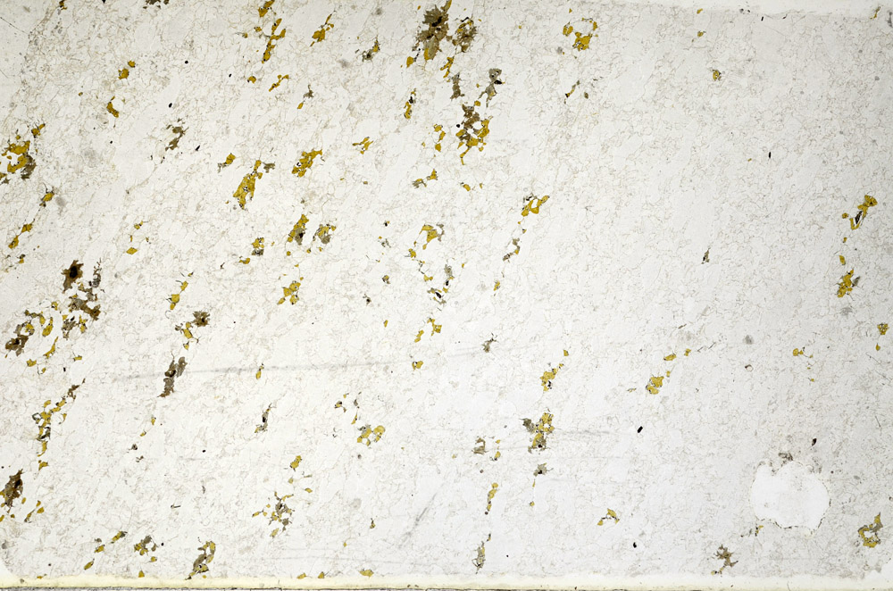 Plane Polarized, N4770