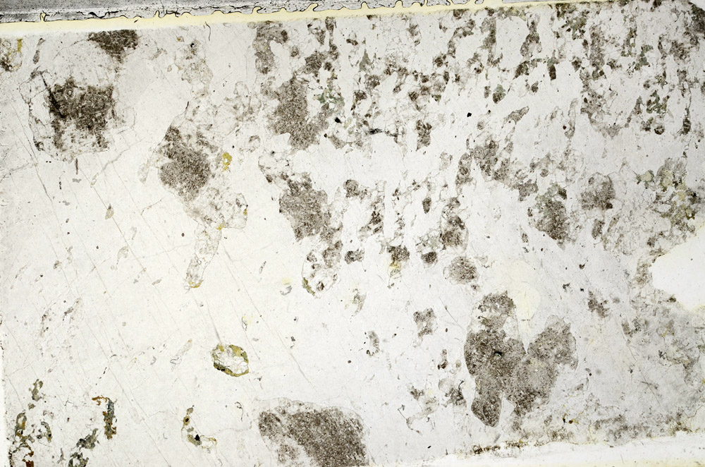 Plane Polarized, N4784