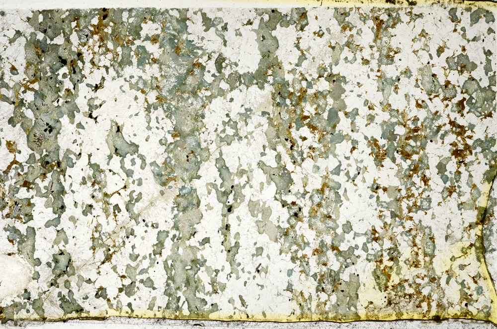 Plane Polarized, N4790