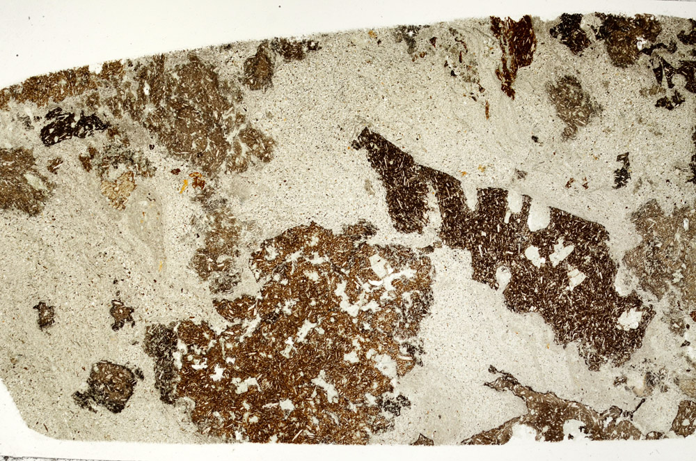 Plane Polarized, N5352