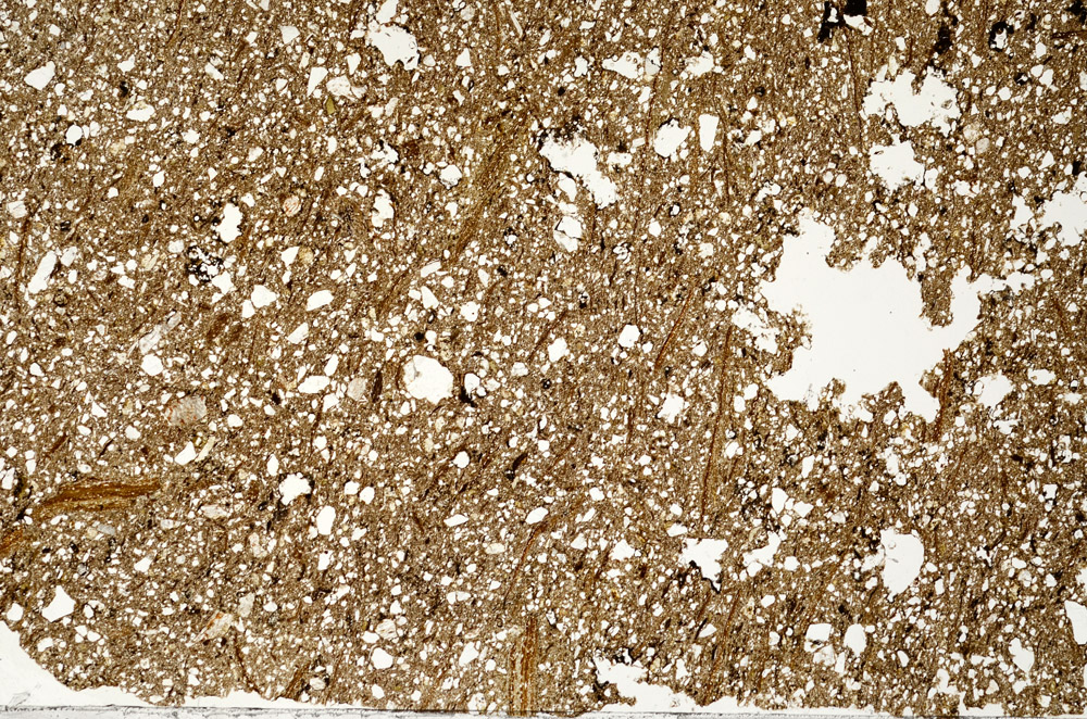 Plane Polarized, N5360