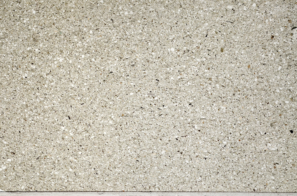 Plane Polarized, N5569