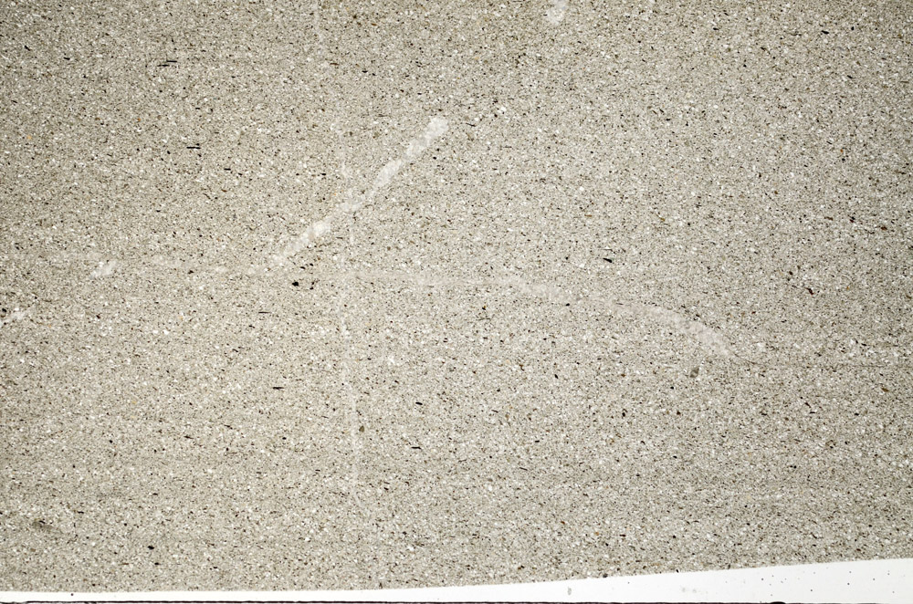 Plane Polarized, N5572