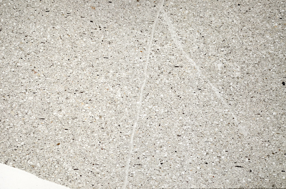 Plane Polarized, N5577
