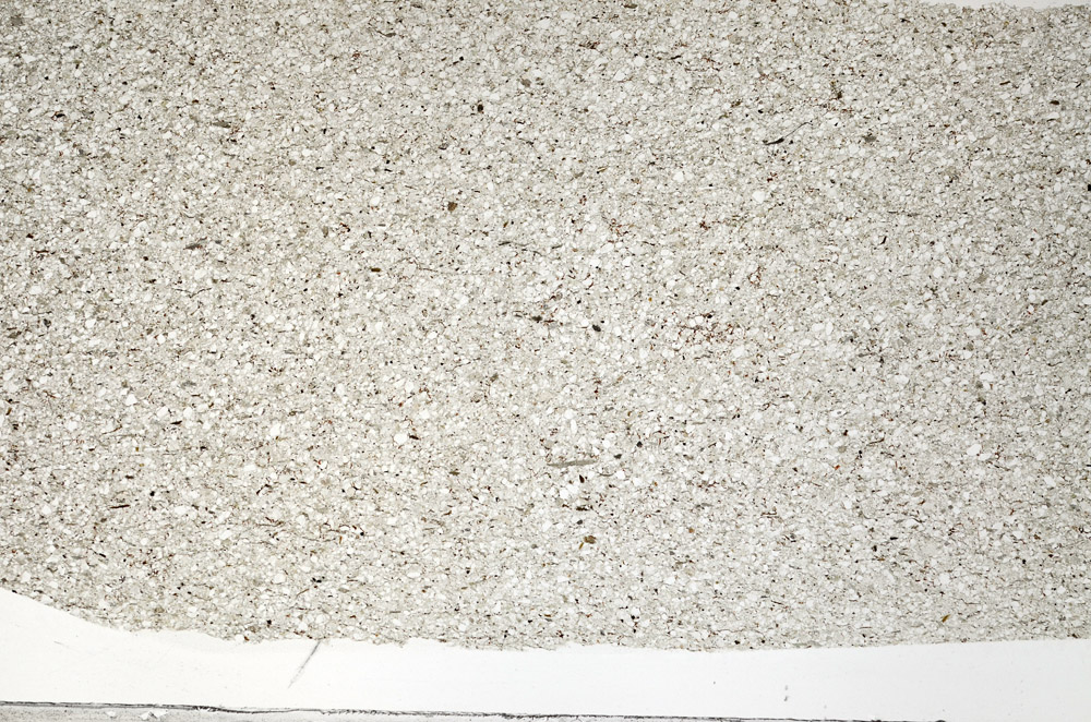 Plane Polarized, N5579