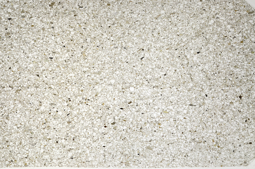 Plane Polarized, N5581