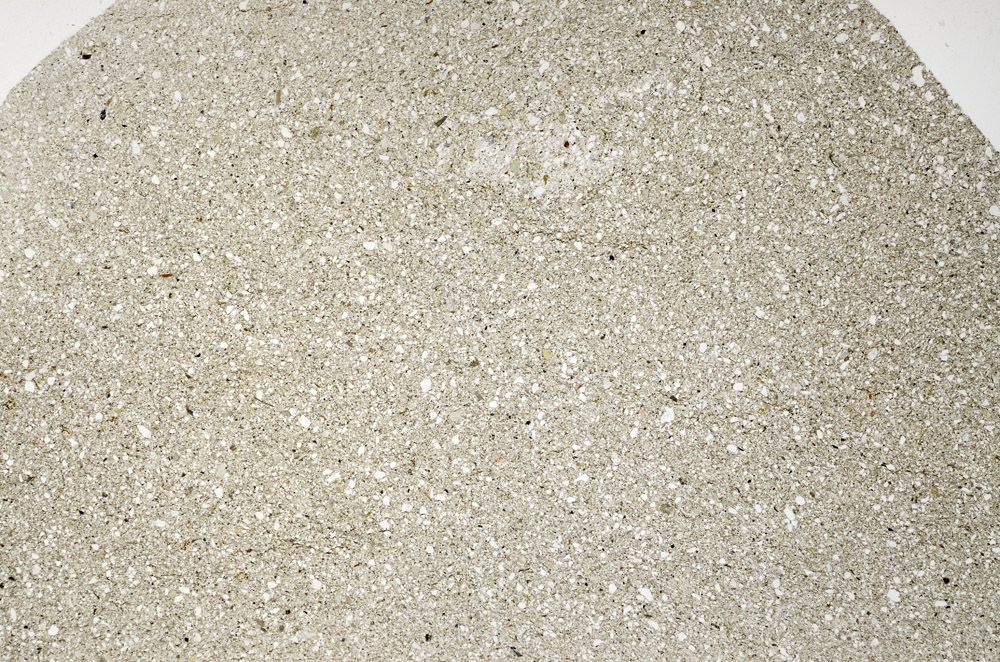 Plane Polarized, N5582