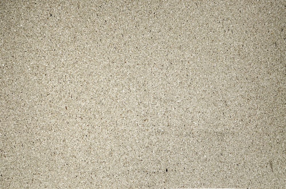 Plane Polarized, N5584