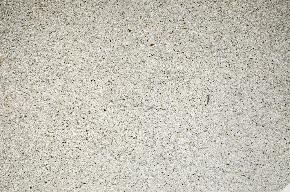 Plane Polarized, N5591