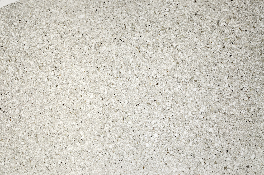 Plane Polarized, N5592