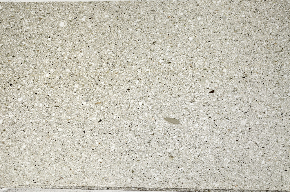 Plane Polarized, N5594