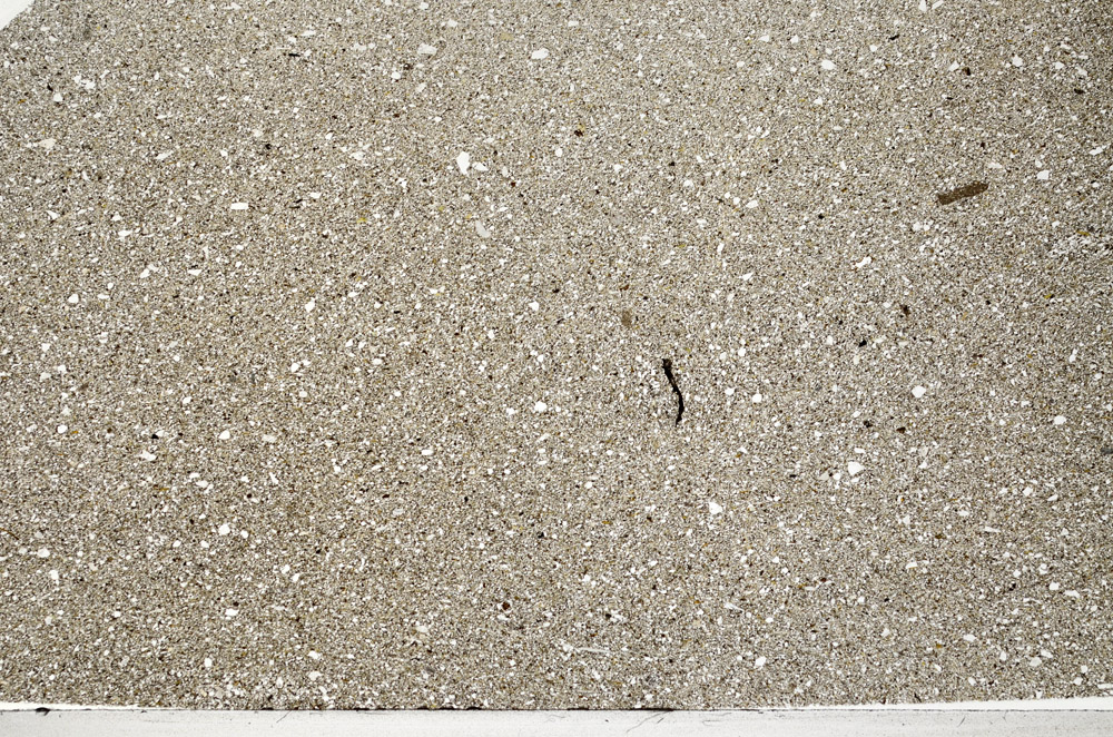 Plane Polarized, N5598