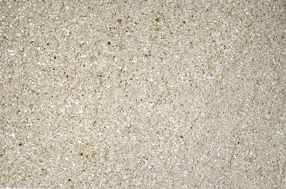 Plane Polarized, N5606