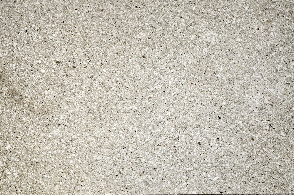 Plane Polarized, N5608