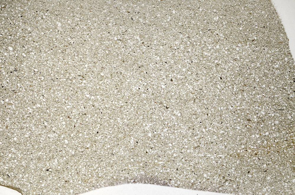 Plane Polarized, N5618