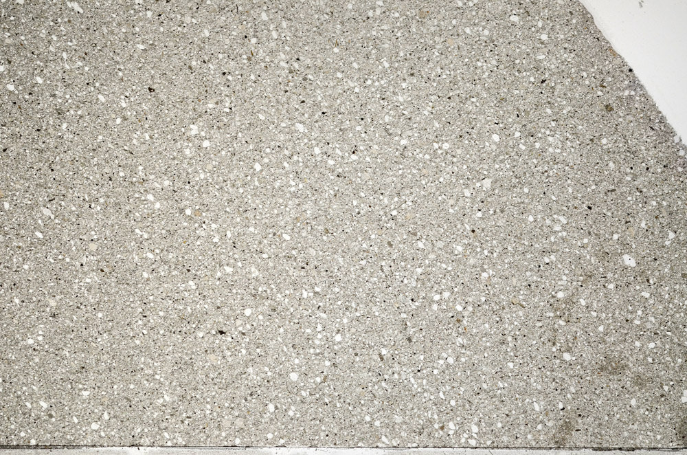 Plane Polarized, N5619