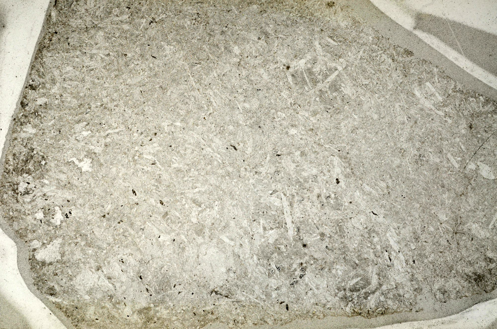 Plane Polarized, N5646