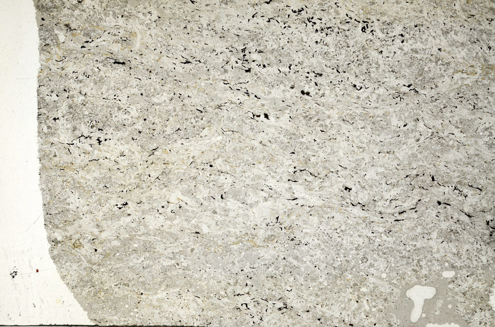 Plane Polarized, N5649