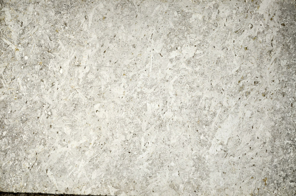 Plane Polarized, N5653