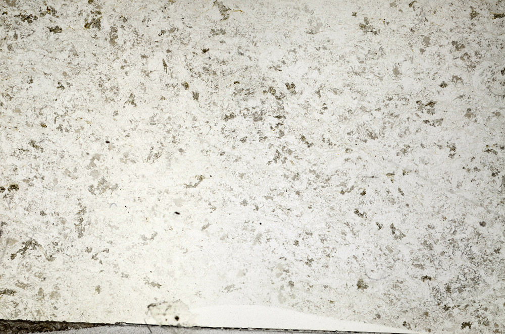 Plane Polarized, N5678
