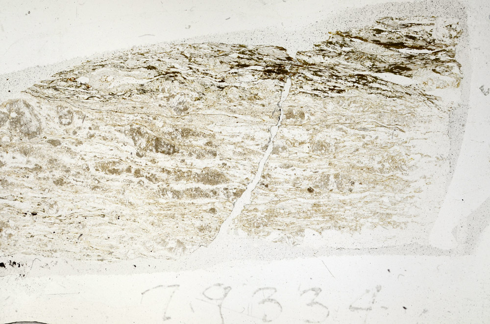 Plane Polarized, N5679