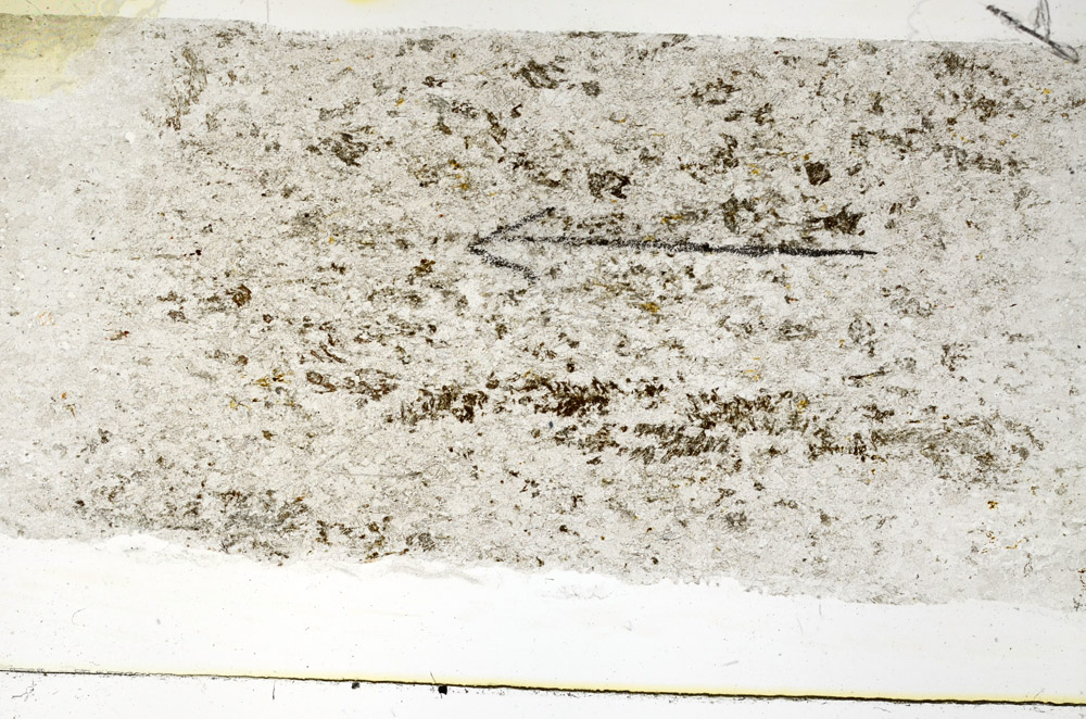 Plane Polarized, N5698/A