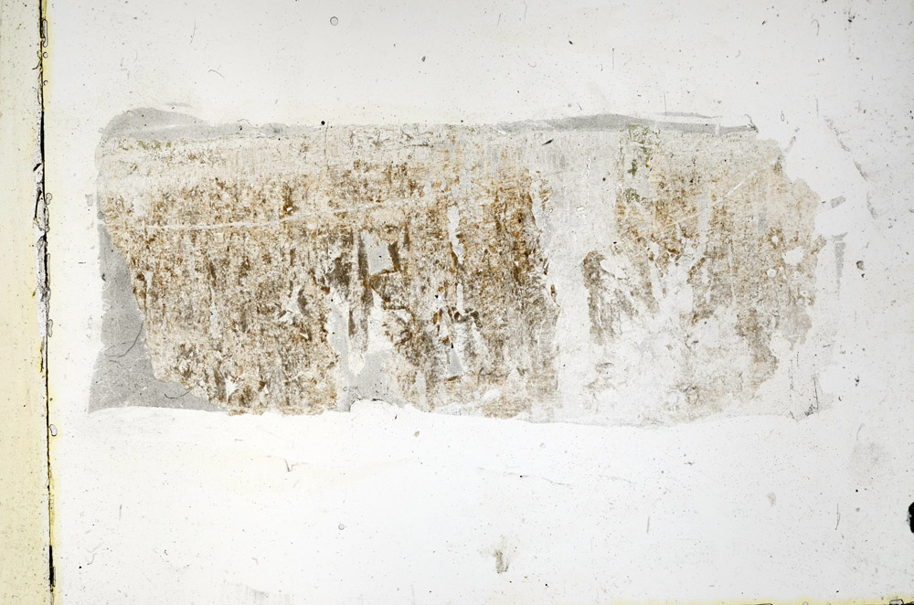 Plane Polarized, N5701