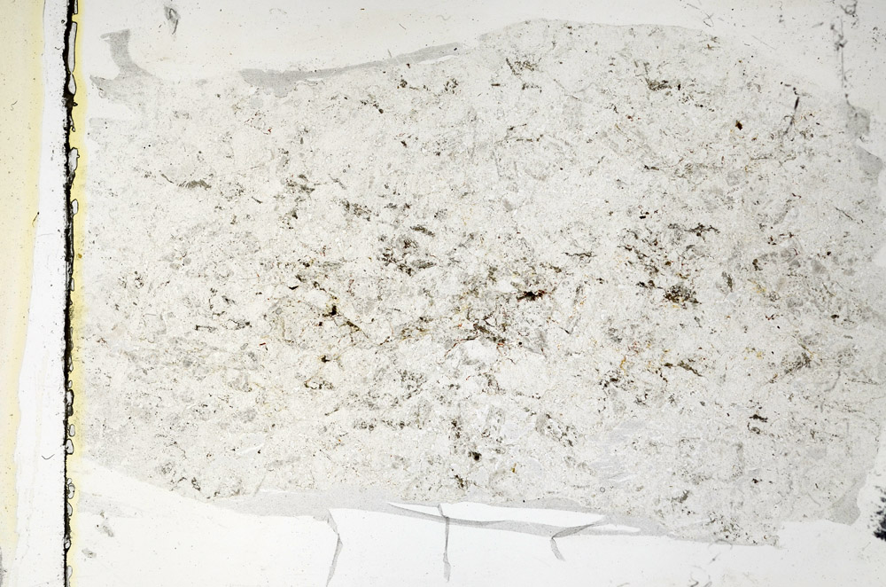 Plane Polarized, N5703