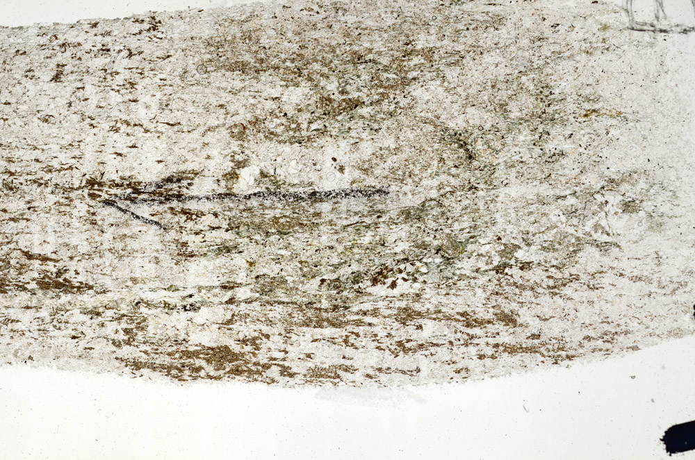 Plane Polarized, N5709/B