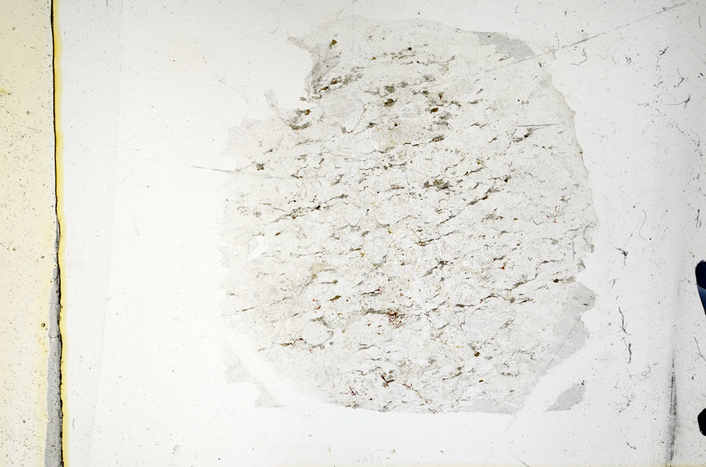 Plane Polarized, N5729