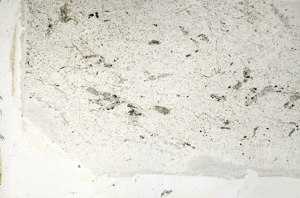 Plane Polarized, N5732