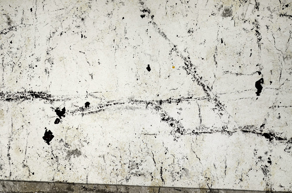 Plane Polarized, N5761