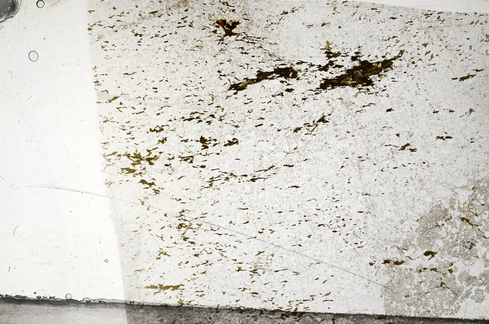 Plane Polarized, N5787