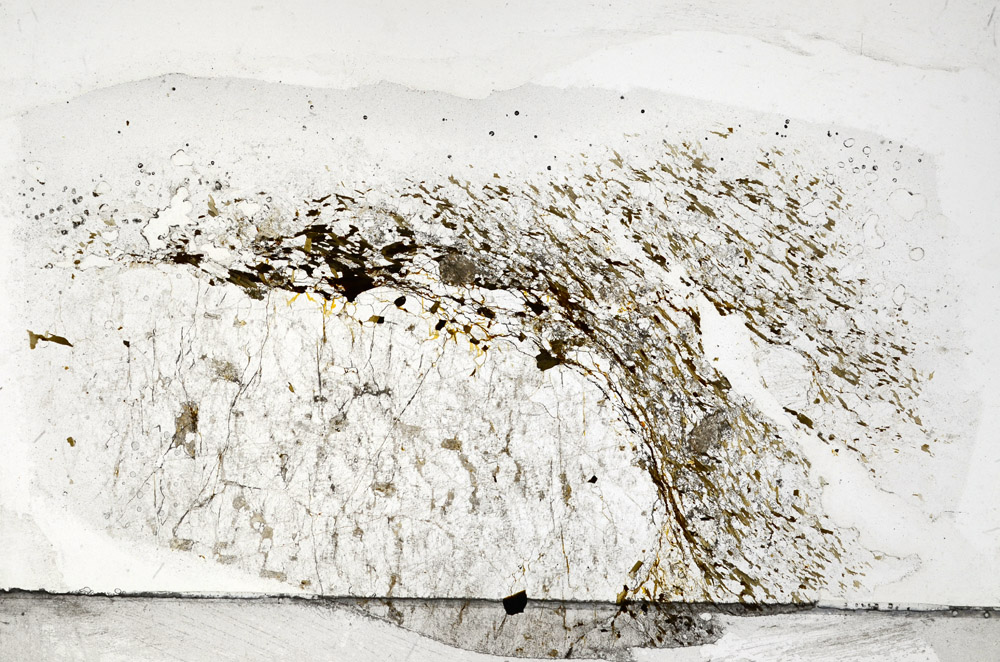 Plane Polarized, N5796