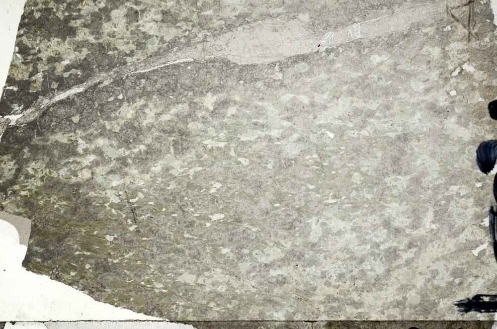 Plane Polarized, N5817/A