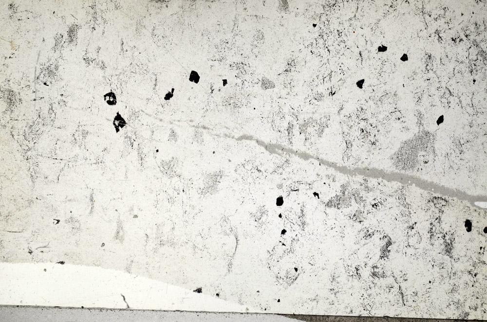 Plane Polarized, N5821