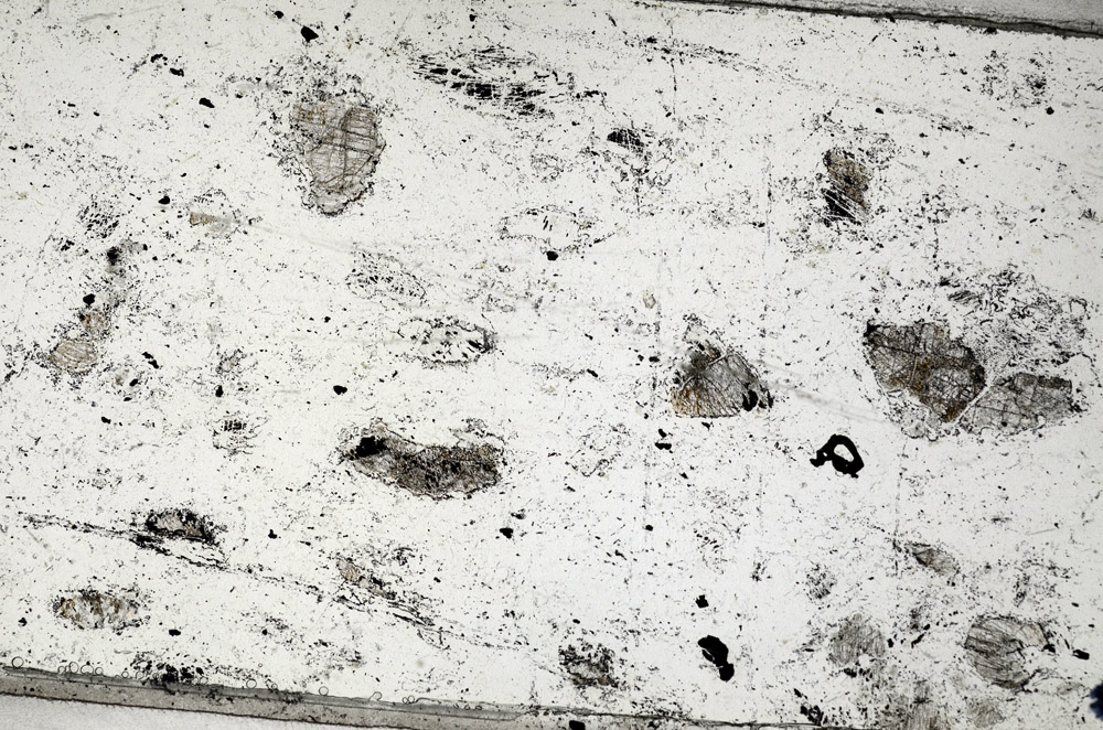 Plane Polarized, N5829