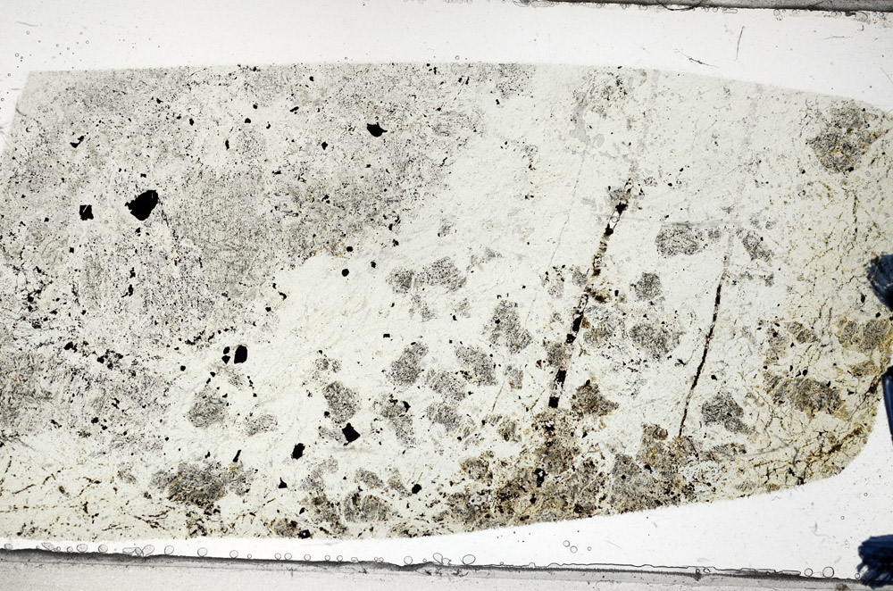 Plane Polarized, N5834
