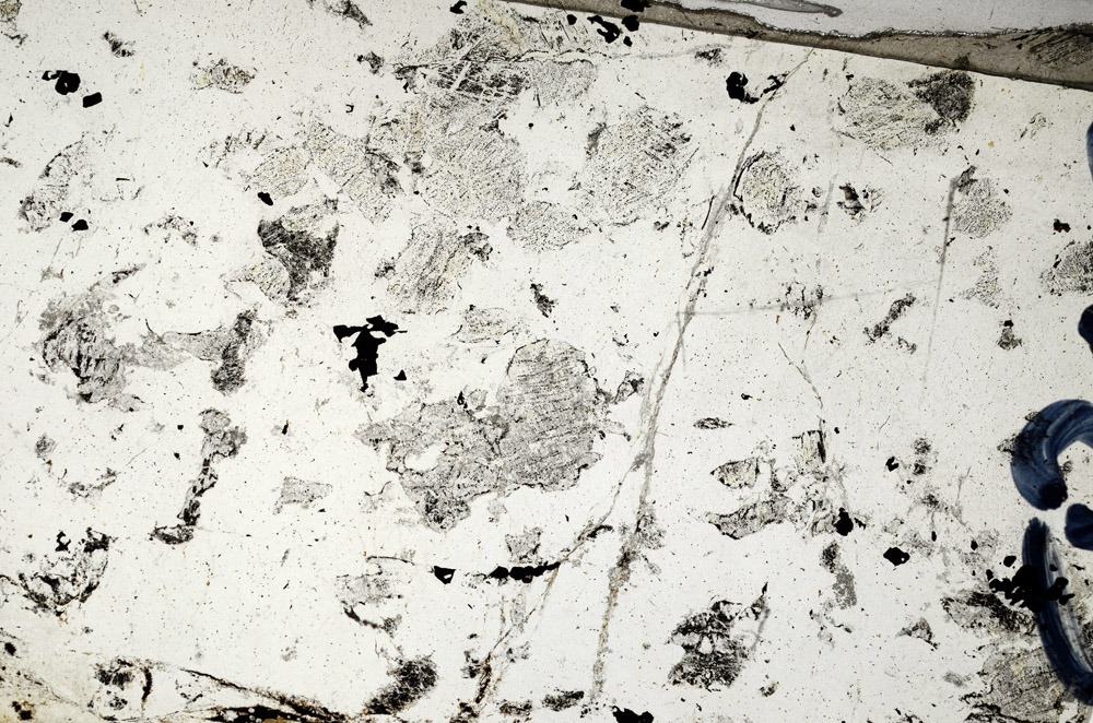 Plane Polarized, N5843